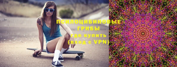молекула духа Сосновка