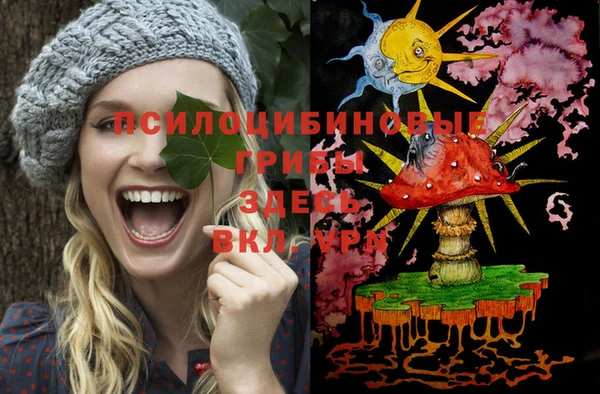 PSILOCYBIN Володарск