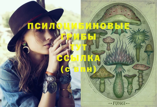 прущий лед Волосово