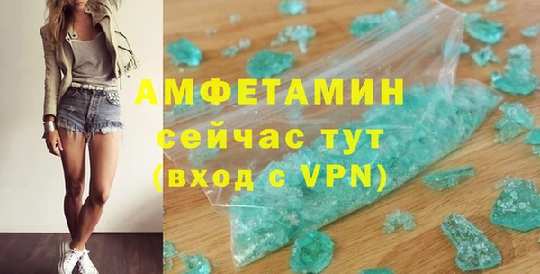 гашик Сосновый Бор