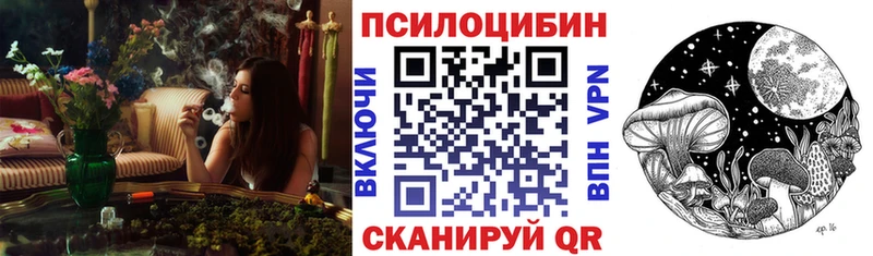 darknet наркотические препараты  Долинск  Псилоцибиновые грибы MAGIC MUSHROOMS  кракен онион 